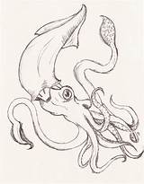 Squid Giant Octopus Kraken Getdrawings sketch template