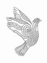 Coloring Pages Dove Zentangle Adults Adult Bright Teens Colors Favorite Color Choose sketch template