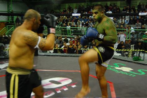 Shotobushin Grande Hulk Lutador De Muay Thai Kick Boxing