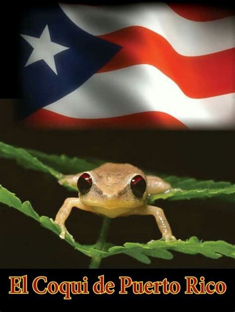 2148 Best Images About Mi Puerto Rico On Pinterest