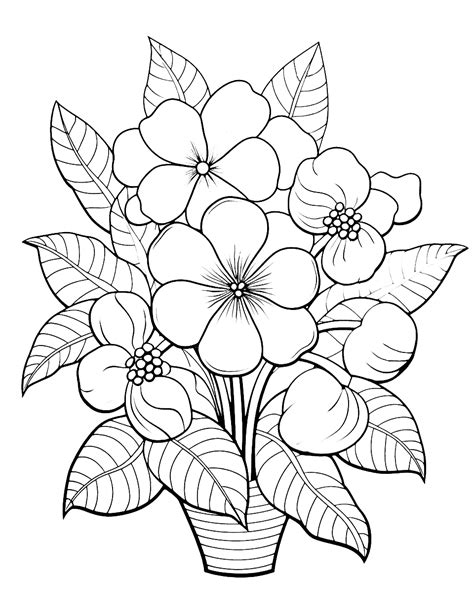 flower coloring pages  printable sheets