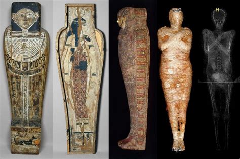 Pregnant Egyptian Mummy Revealed By Scientists Bbc News