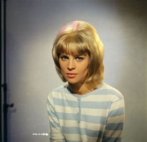 Icon Of The ‘swinging Sixties’ 35 Gorgeous Photos Of Julie Christie In
