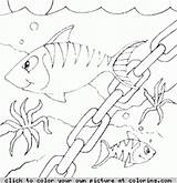 Coloring Chain Fish sketch template