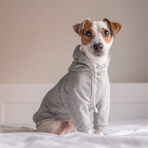 raglan dog hoodie dog clothes warm dog sweater custom dog
