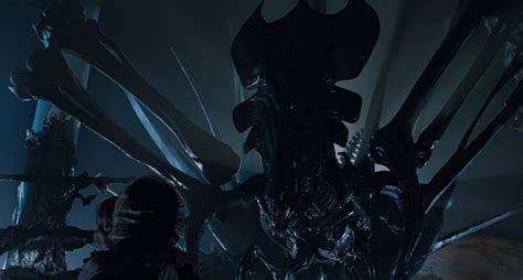 alien  stage   xenomorphs gruesome life cycle indiewire