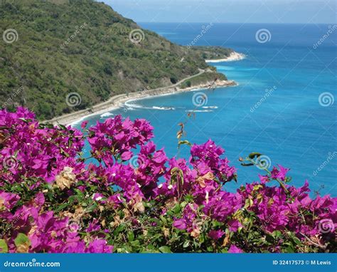 kustlijn stock afbeelding image  republiek dominicaans