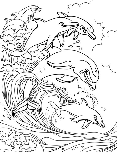 dolphin coloring pages  kids  love  printable