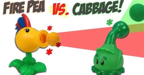 cabbage pult reumvegetable