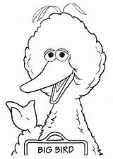 Big Bird Coloring Pages Printable Books sketch template