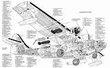 Catalina Pby Consolidated Cutaway 6a Airwingmedia Flight Flying Boat Pdf sketch template