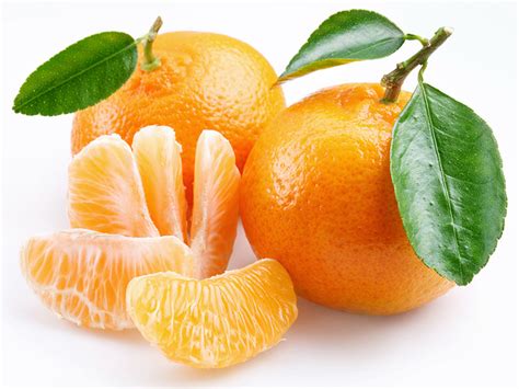 ortofloricoltura pasino mandarino
