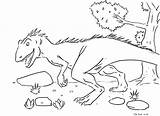 Colorare Disegni Colorat Dinosauro Dinozauri Copii Planse Imagini Bambini Desene Brontosauro Coluroid Plansa Desen sketch template