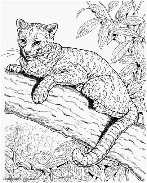 realistic cat coloring pages coloring book realistic cheetah coloring