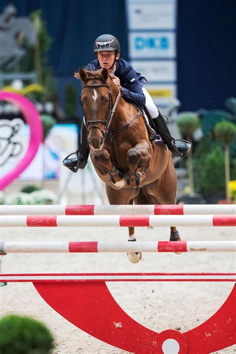 show jumping show jumping ireland sport horse