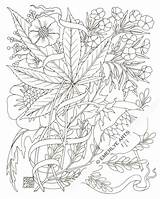 Coloring Pages Weed Adult Marijuana Stoner Printable Stencil Leaf Plant Books Drawing Hemp Print Pot Color Trippy Tattoo Jane Mary sketch template