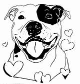 Pitbull Drawings Staffy Coloring Terrier Bull Pages Dog Dessin Chien Tattoo Drawing American Staffordshire Coloriage Pit Amstaff Sheets Outline Result sketch template