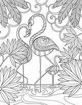 Flamingo Letscolorit sketch template
