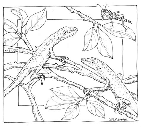 printable coloring pages  nature