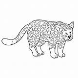 Jaguar Chita Guepardo Ghepardo Pintar Guepard Colorare Disegno Riposo Acolore Dibuix Guepardos Chitas Selva Dibuixos Cmgamm Bosque sketch template