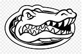 Florida Gators Logo Gator Vector Silhouette Clipart Football Alligator Transparent Coloring Getdrawings Clip Library sketch template