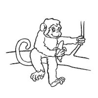 monkey  banana coloring pages surfnetkids
