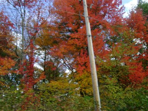 Londonderry Nh Foliage At It S Finest Photo Picture Image New