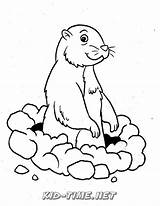 Gopher Coloring Pages Book Animals Time Printables sketch template