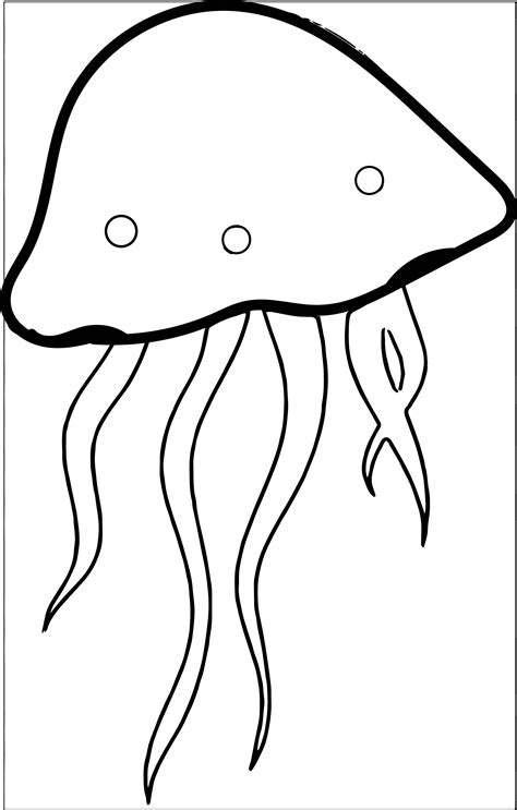 jellyfish outline clipart   cliparts  images