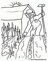 Saison Nature Gardener Jardinero Colorear Dibujos Ocupaciones Coloriages sketch template
