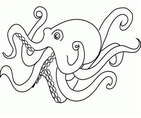 cartoon octopus pictures  kids   cartoon octopus