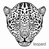 Leopard Coloring Patterns Print Ethnic Antistress Adults Book Drawing Adult Getdrawings sketch template