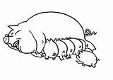 Ausmalbilder Varken Malvorlagen Cerdo Schwein Porc Schweine Coloriages Colorare Malvorlage Mewarnai Babi Animasi Bergerak Animierte Animaatjes Dog Maiali Hog Colorier sketch template