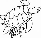Turtle Coloring Sea Baby Pages Drawing Swimming Printable Outline Turtles Cute Green Mother Color Barrier Simple Clipart Leatherback Nemo Underwater sketch template
