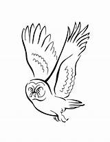 Coloring Owl Flying Pages Line Drawing Cute Library Clipart Colouring Bird Comments Coloringhome sketch template
