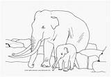Coloring Pages Elephant Jumbo Printable Kids Animal Ausmalbilder Popular sketch template