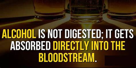 21 Fun Facts About Booze That You Didn’t Know Chaostrophic