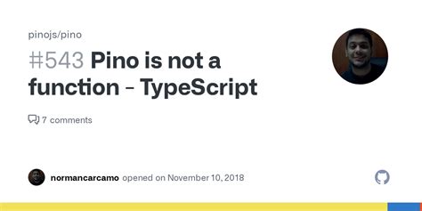 pino    function typescript issue  pinojspino github