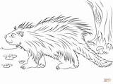 Porcupine Coloring Pages Cute Porcupines Printable Animals Drawing Color Wolf Colouring Realist Drawings Dot Disimpan Dari sketch template