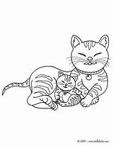 Kitten Cat Coloring Pages Color Kittens Animal Cats Coloriage Chatons Chats Drawing Animals sketch template