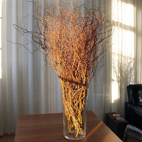 fresh curly willow branches  red
