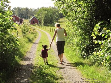 swedish summer ~ country roads country country life
