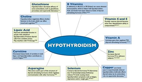thyroid nutrition for optimal thyroid health the adrenal