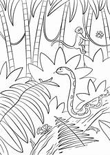Selva Supercoloring Escena Negro Foresta Landschaft Mountains Tropicales Preschool Printables Paisagem Tramonto Floresta Entrenamiento Kolorowanka Tropicais Florestas Wasserfall Drukuj Amordepapeis sketch template