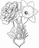 Narcissus Daffodil Daffodils Carnation Aster Daisy Gladiolus Marigold Daisies Calendula Hailey Marigolds Poppies Kj sketch template