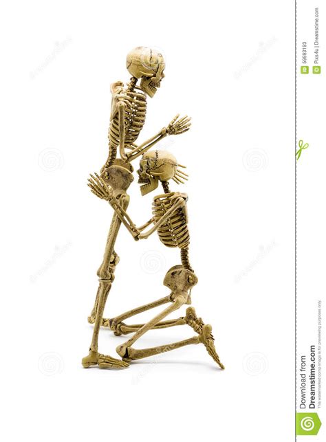 couple skeleton model lovers having oral sex stock image image of isolated couple 59593193