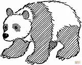 Panda Giant Coloring Pages Bear Outline Drawing Printable Pandas Adults Color Kids Drawings Clipart Bears Gif Line sketch template
