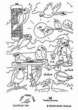 Parco Kleurplaat Vogels Oiseaux Uccelli Kleurplaten Pajaros Stampare sketch template