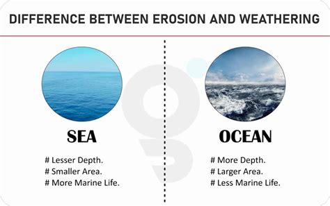 difference  sea  ocean