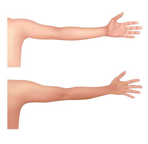 healthy human arm   asian people front   view
